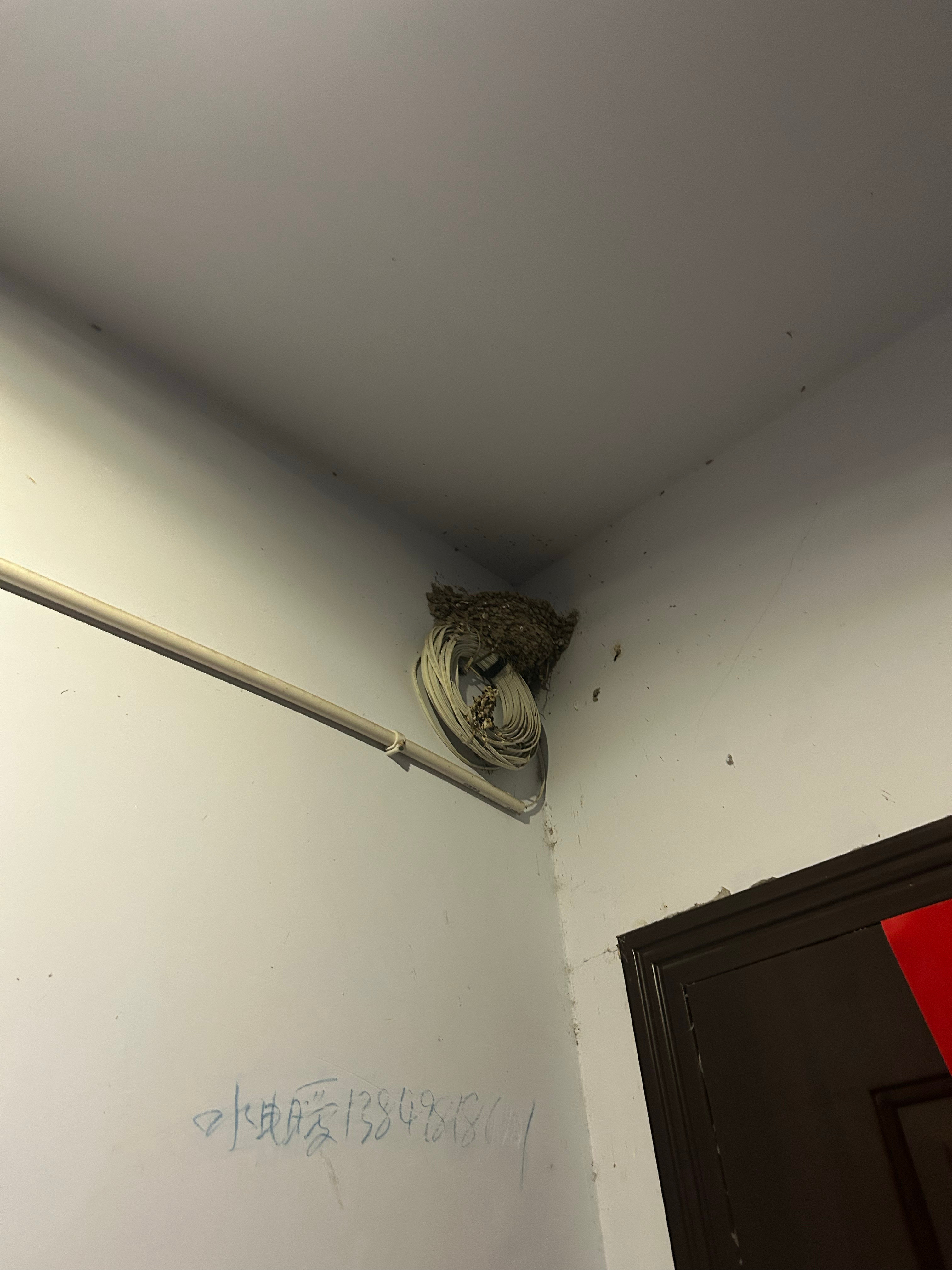 流浪狗🐶这只狗无论冬夏一直卧在别人店的门口可能店主投喂过它吃的就这么忠心耿耿天