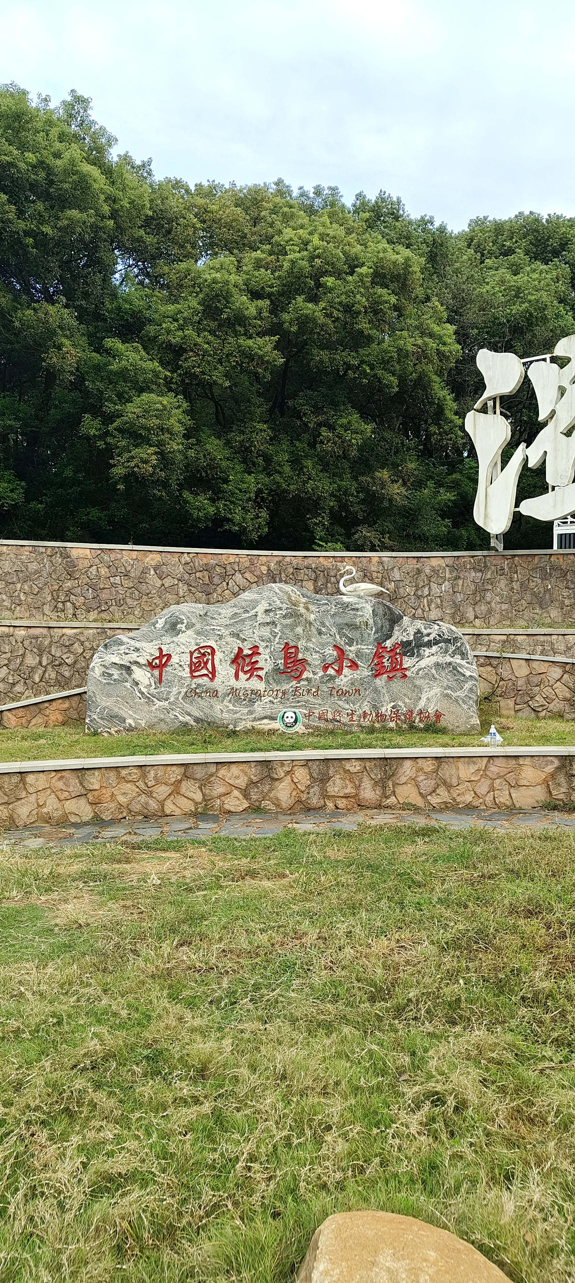 刀郎能不能算音乐大师，到现在还是吵得不可开交。2004年他没做任何宣传，《2002年的第一场雪》正版