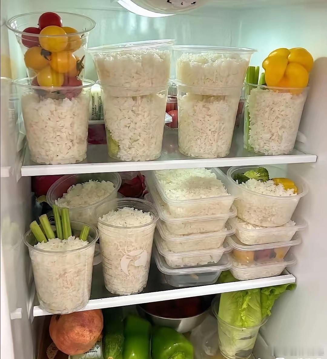 不可思议！居然有人专门把米饭蒸好，然后把它冷冻到冰箱去保存起来想吃的时候才拿出来