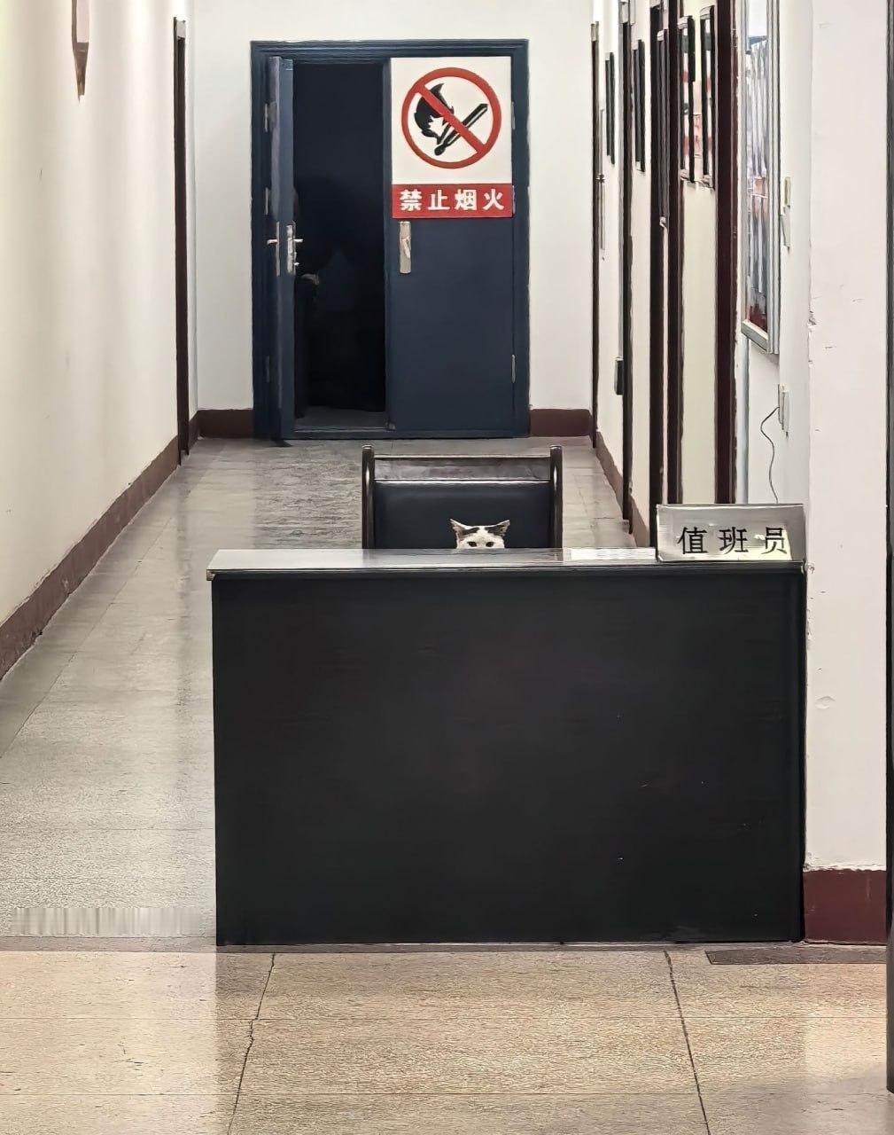 我一直在看着你