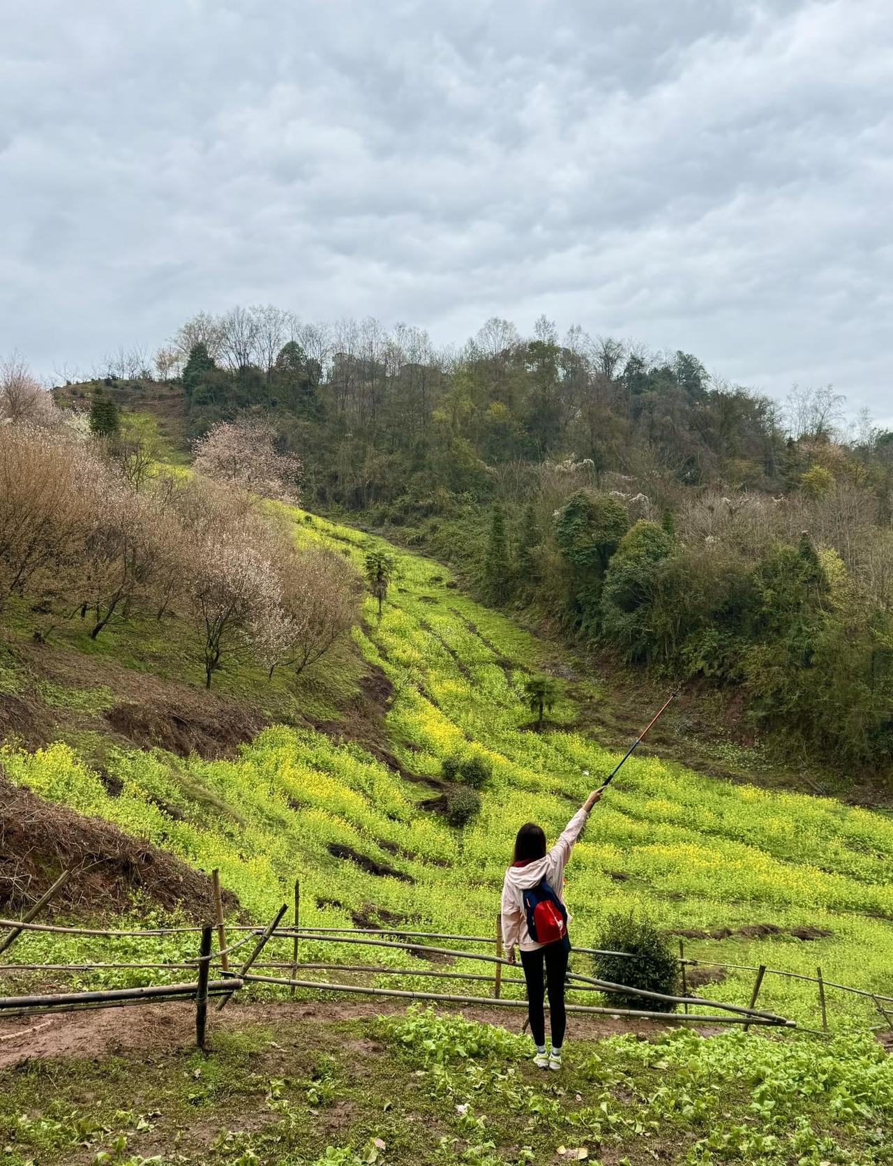值得期待的春日山脊徒步路线！赏花挖野菜春日徒步路线怎么能少了这条能打野又能赏花