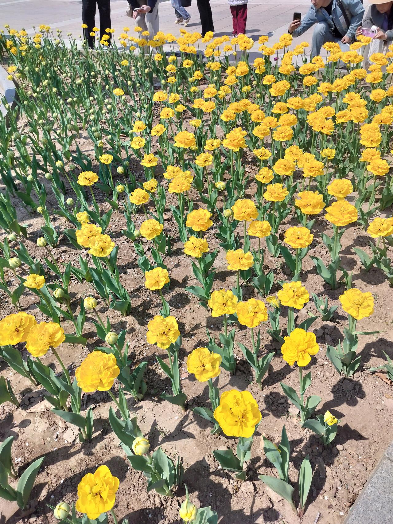 女儿不慎将妈妈的项链弄丢，妈妈气急败坏将女儿书包的东西全部翻出，包里还有一个玻