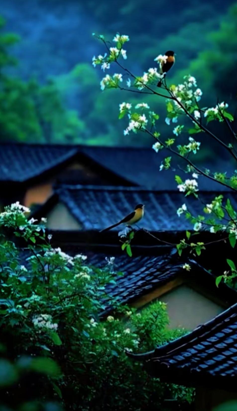 擁有金山銀山，不如平平安安；雖然大富大貴，不如健康到位；若能知足常樂，