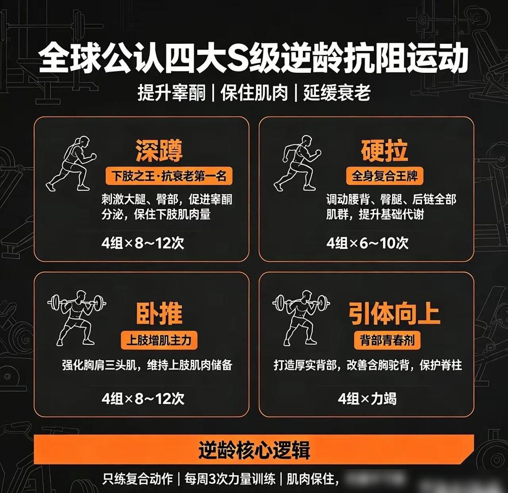 全球公认四大S级逆龄抗阻运动（提升睾酮、保住肌肉、延缓衰老）我之前瞎练了快两