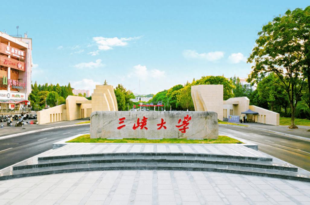 长江大学和三峡大学是湖北省属高校中实力最接近的一对"瑜亮组合"，综合排名几乎齐平