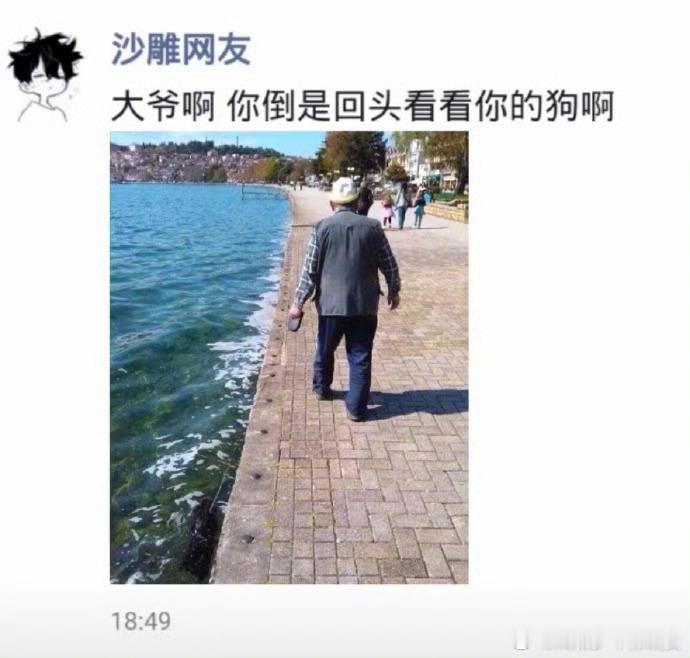 大爷硬核遛狗方式哈哈哈哈哈哈哈哈哈哈哈哈！狗：您尽管遛跟不上算我输[裂开]