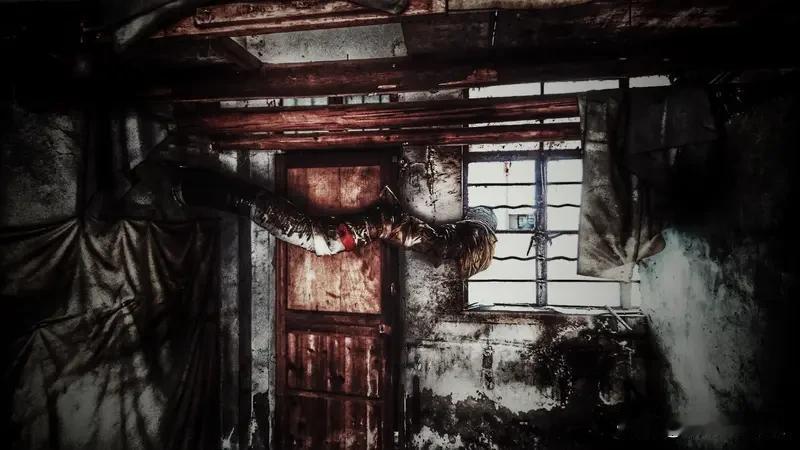 为啥喜欢玩《生化危机》？我觉得主要是它独特的资源管理玩法太上头。玩的时候，弹药永