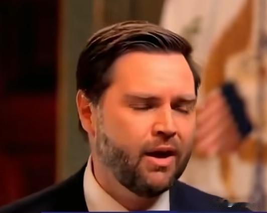 美国副总统JD·万斯：“美国是很独特的。一部分是移民，一部分是定居者，共