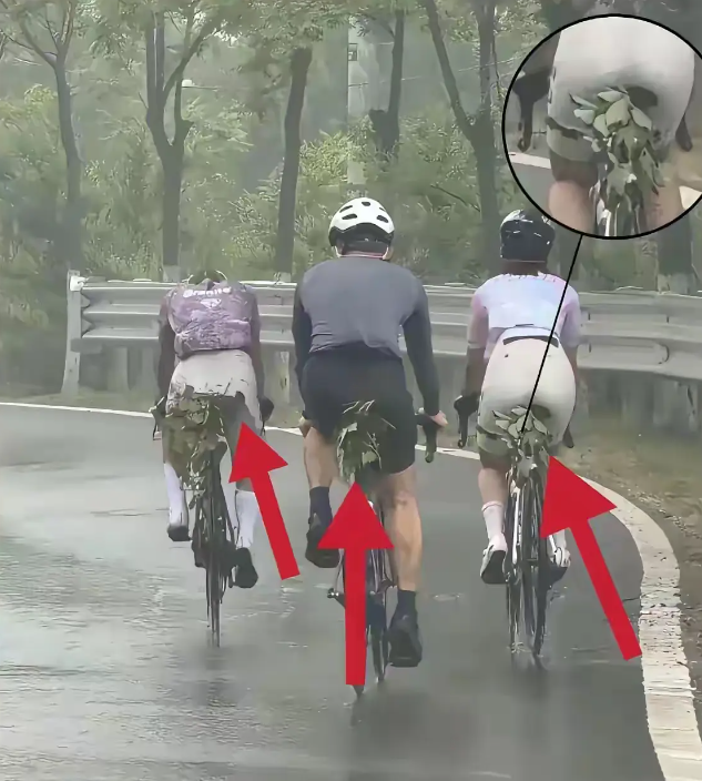 不懂就问，骑行爱好者这是什么操作？有知道的吗？
