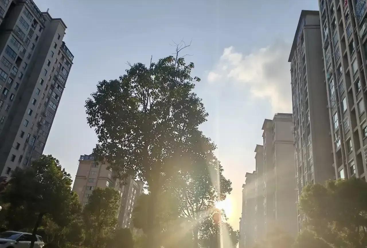 炫富！昨天晚上我从超市回来，顺路买几斤西红柿，走到一家药店门口突然觉得有点累了