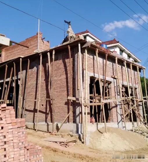 农村建房还是城里买房？这道平常题真能难倒咱老百姓有人说树高千尺叶落归根