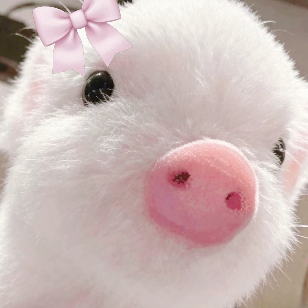 哎呦我天呢这简直是猪斤告本猪啊🐽