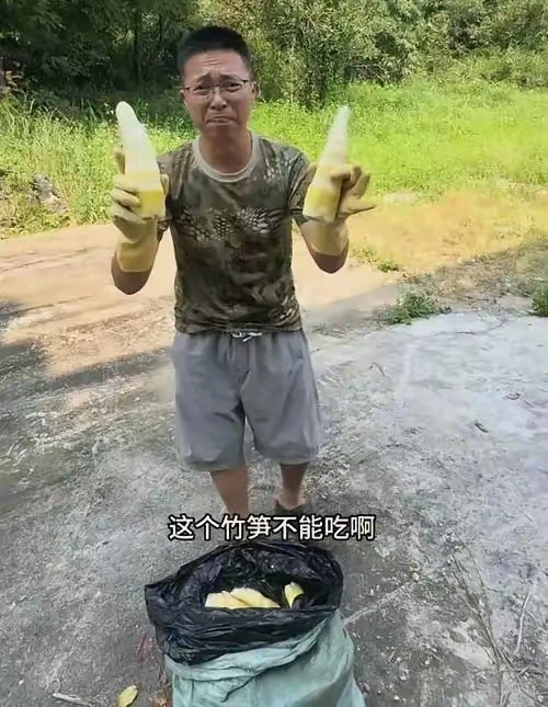 那辆运笋货车跟丢了，博主从肇庆一路跟到清远，跟了一整夜，最后在某个路口被甩掉了，车里装的是刚用硫磺熏