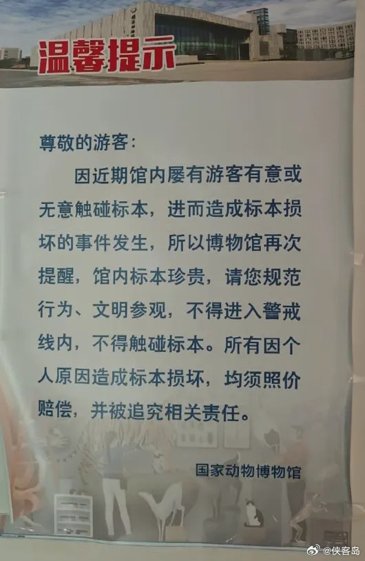 #岛叔微评#【“熊孩子”毁标本，根子在“熊家长”】8月29日晚，国家动物博物馆刊文称，28日，两小孩
