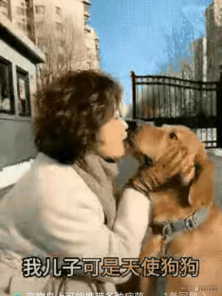 人是人，狗是狗，不能人狗不分！好多女士养狗，把狗狗当着儿子，自己被称为狗妈妈，