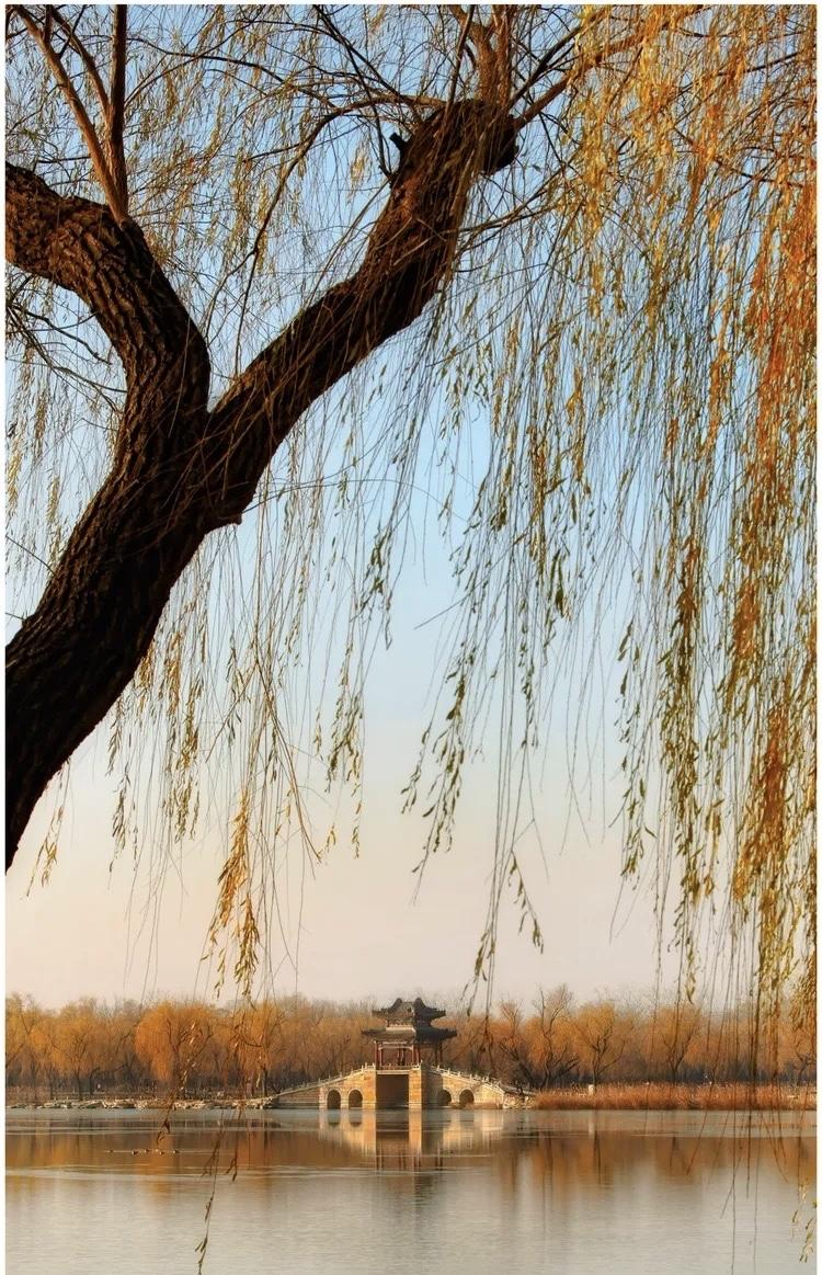 对年过半百的我们来说，最好的二十年已过，昨天将越来越多，明天也越来越少，这就是人