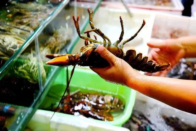 2026年1月7日，三亚市监局联合交通等部门通报了“4道海鲜2个椰子收1930元