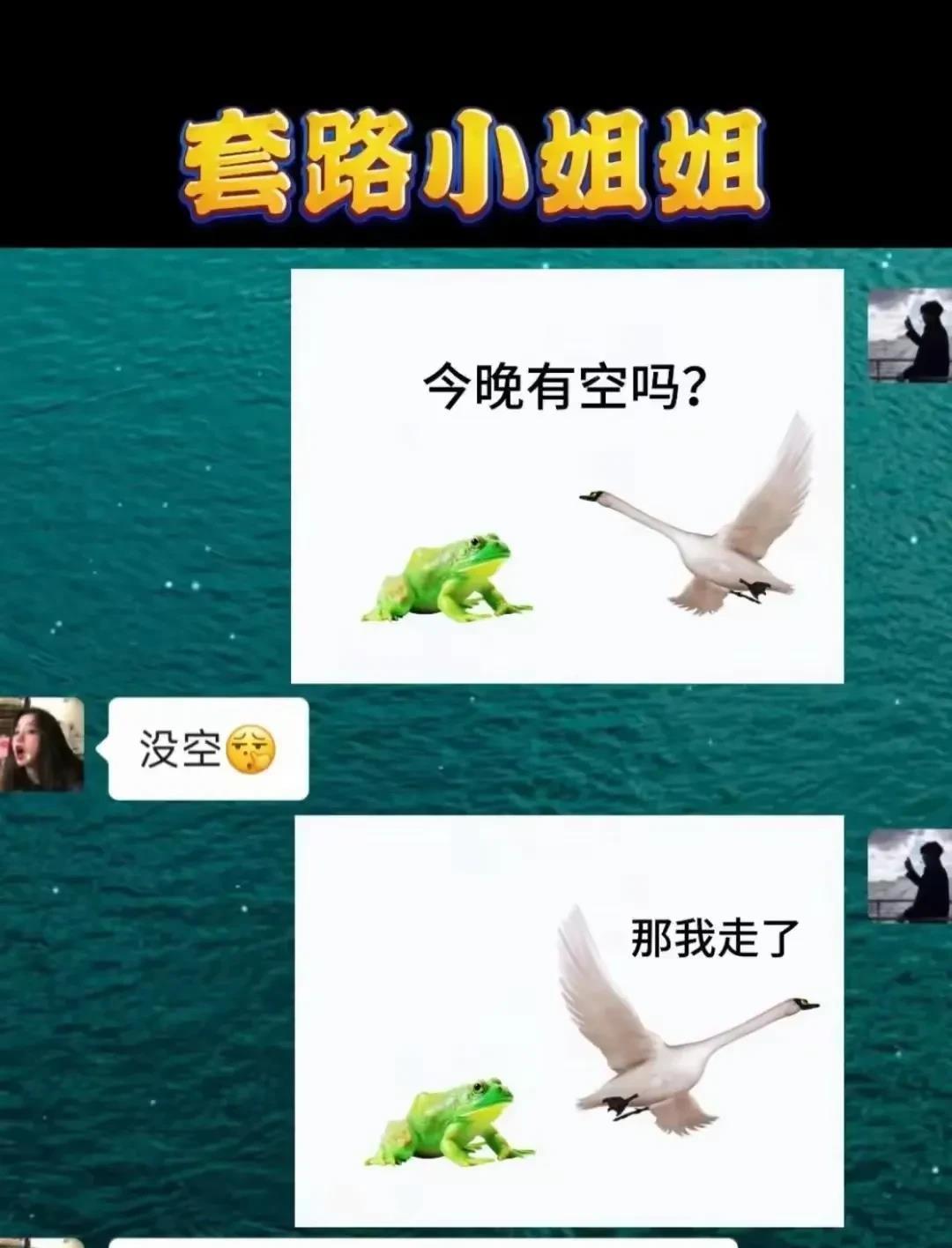 欲擒故纵。天鹅就在这一刻沦陷了。