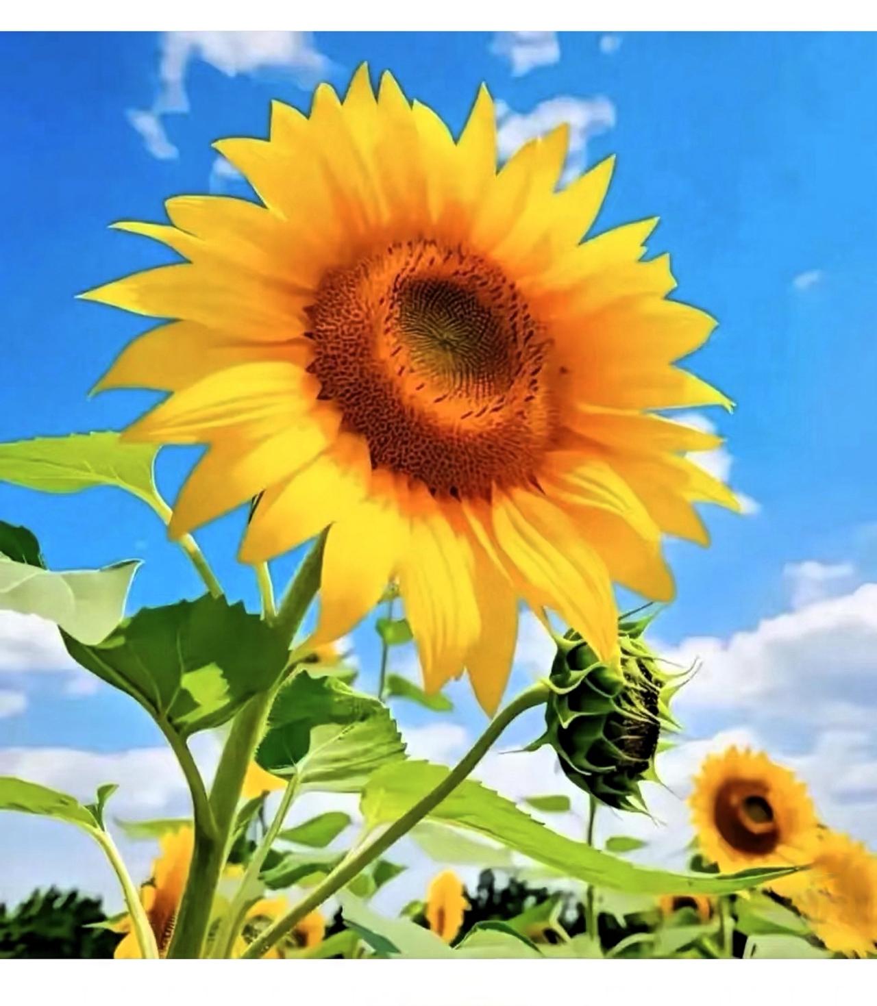 成年人顶级的奢侈品，是这两样东西。人到中年才幡然醒悟，真正属于自己的，从来不