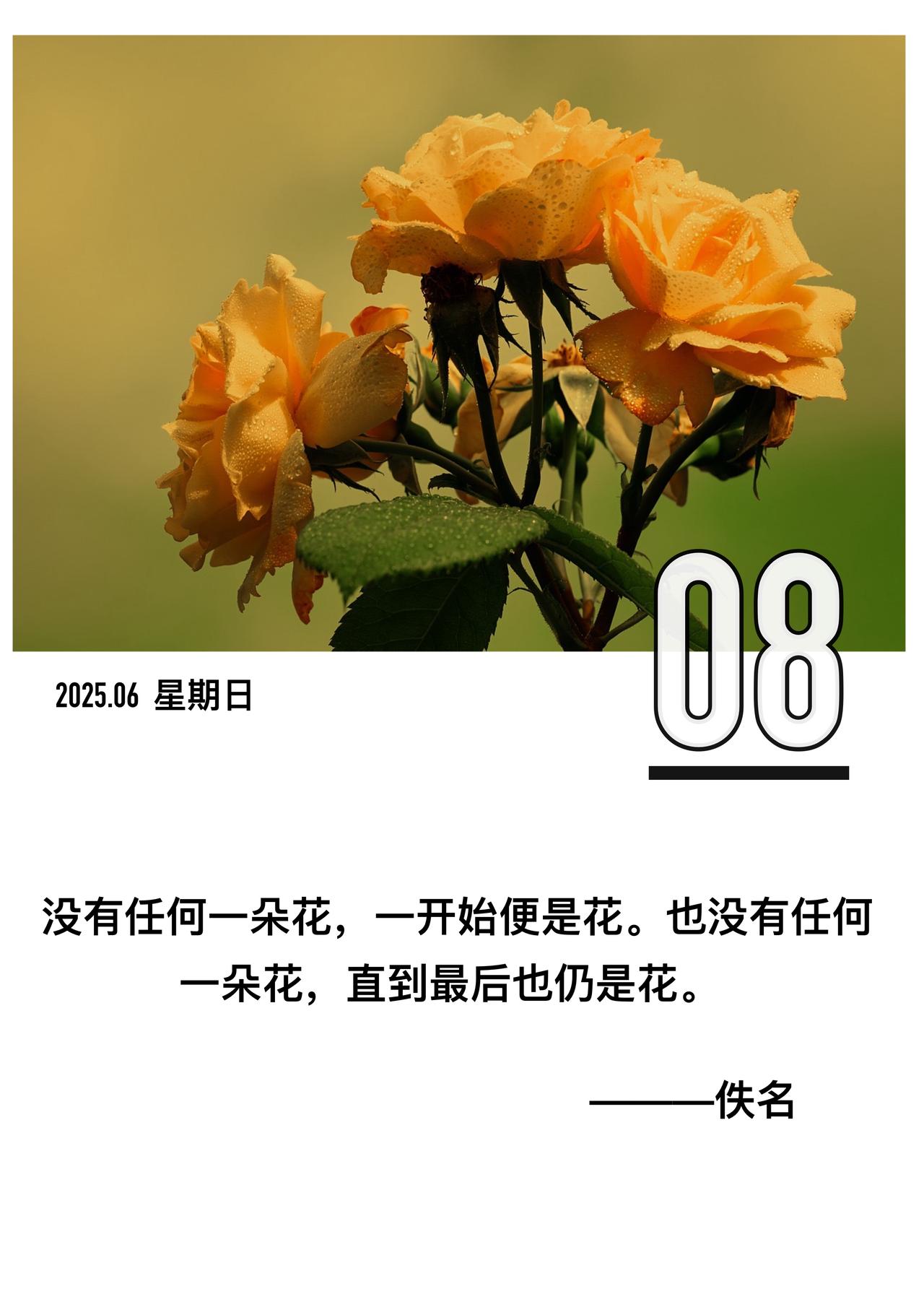 「没有任何一朵花一开始便是花也没有任何一朵花直到最后也仍是花