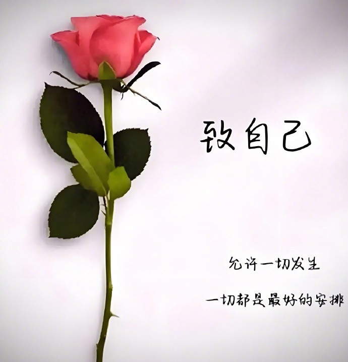 “你的人生，没有白走的路。”——别后悔过去，每一步都有意义。​​​