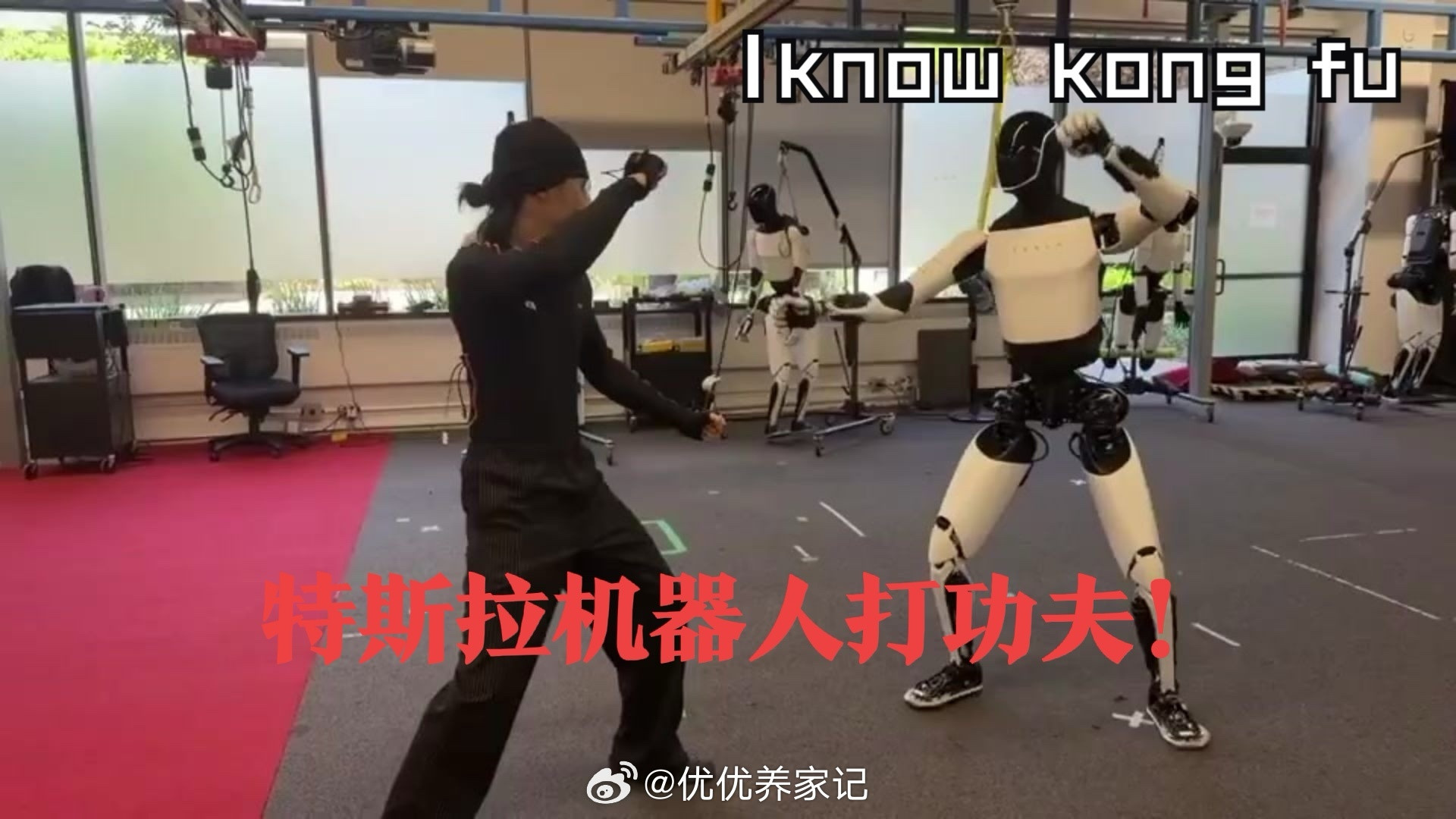 周日,3条消息传来,11月5日“黑天鹅”来袭?先说第一件事，马斯克的机器人练武功