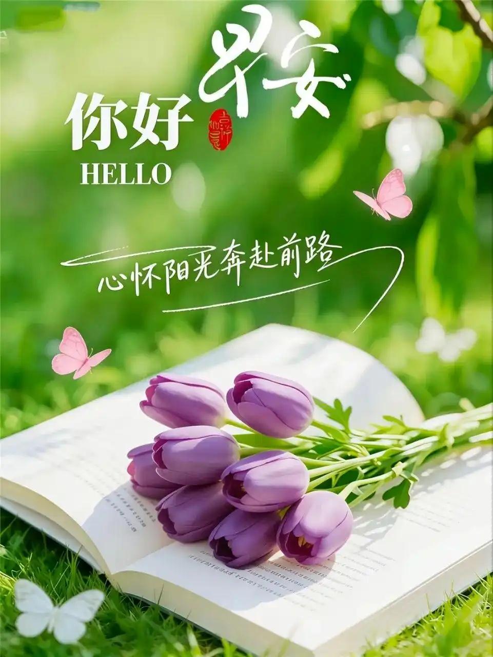 周三晨风拂面柔，暖阳漫洒春色稠。草木悄然生绿意，岁月温柔自在流。慢品