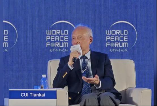 崔天凯：中国就是要统一，这件事没什么好商量的 日前，前中国驻美大使崔天凯在一