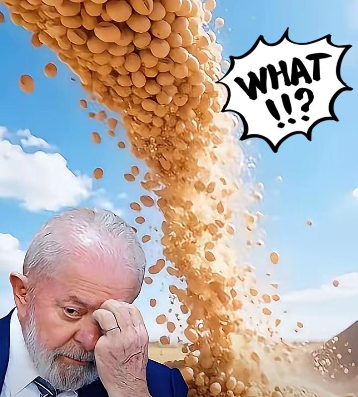 快讯这下巴西不说话了巴西的大豆这几天又涨价了，涨到650美元一吨，本来巴西的