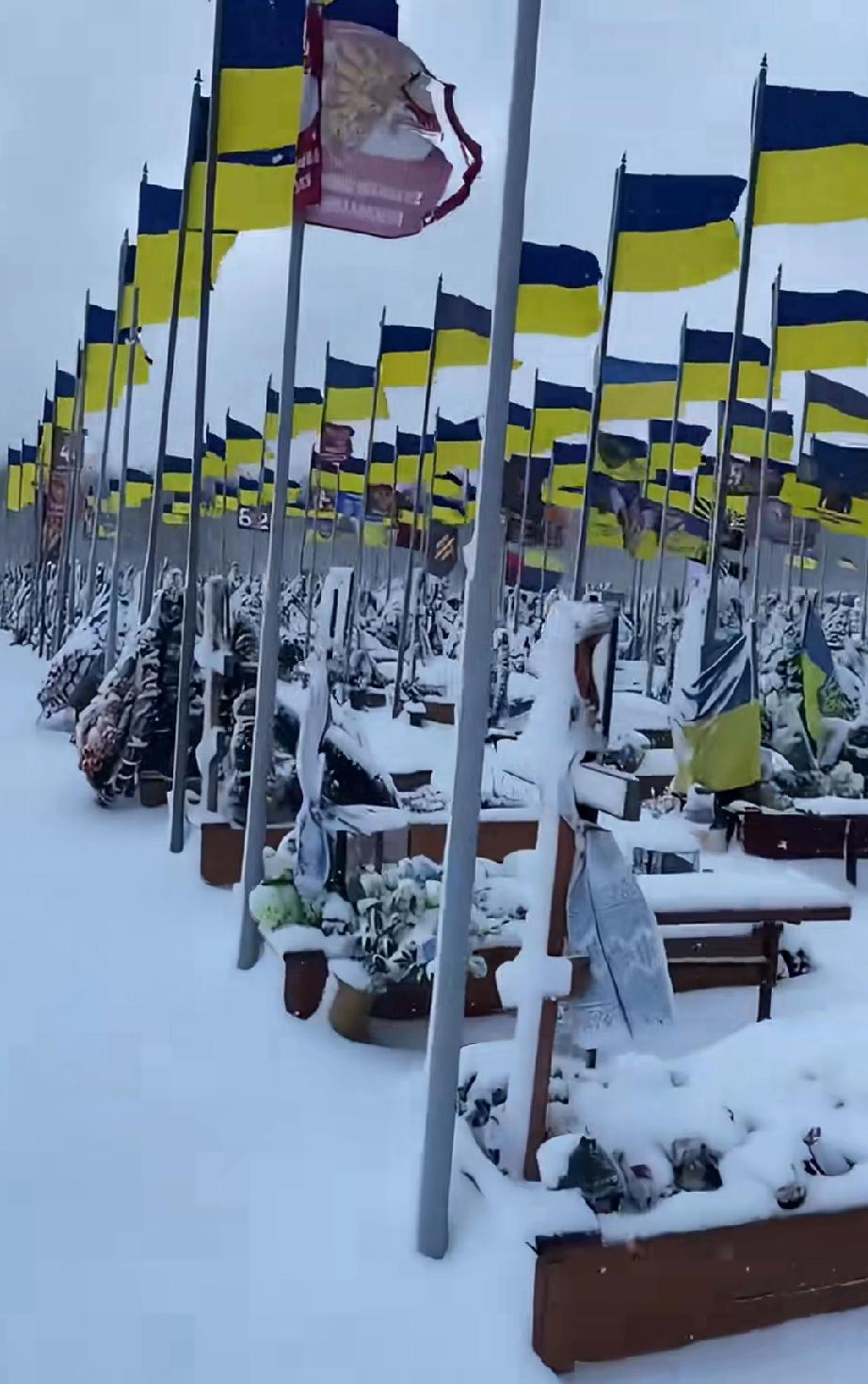 世界上最无耻的言论：自由从来不免费！面对乌克兰大片的墓地，有人发出了感慨，他说