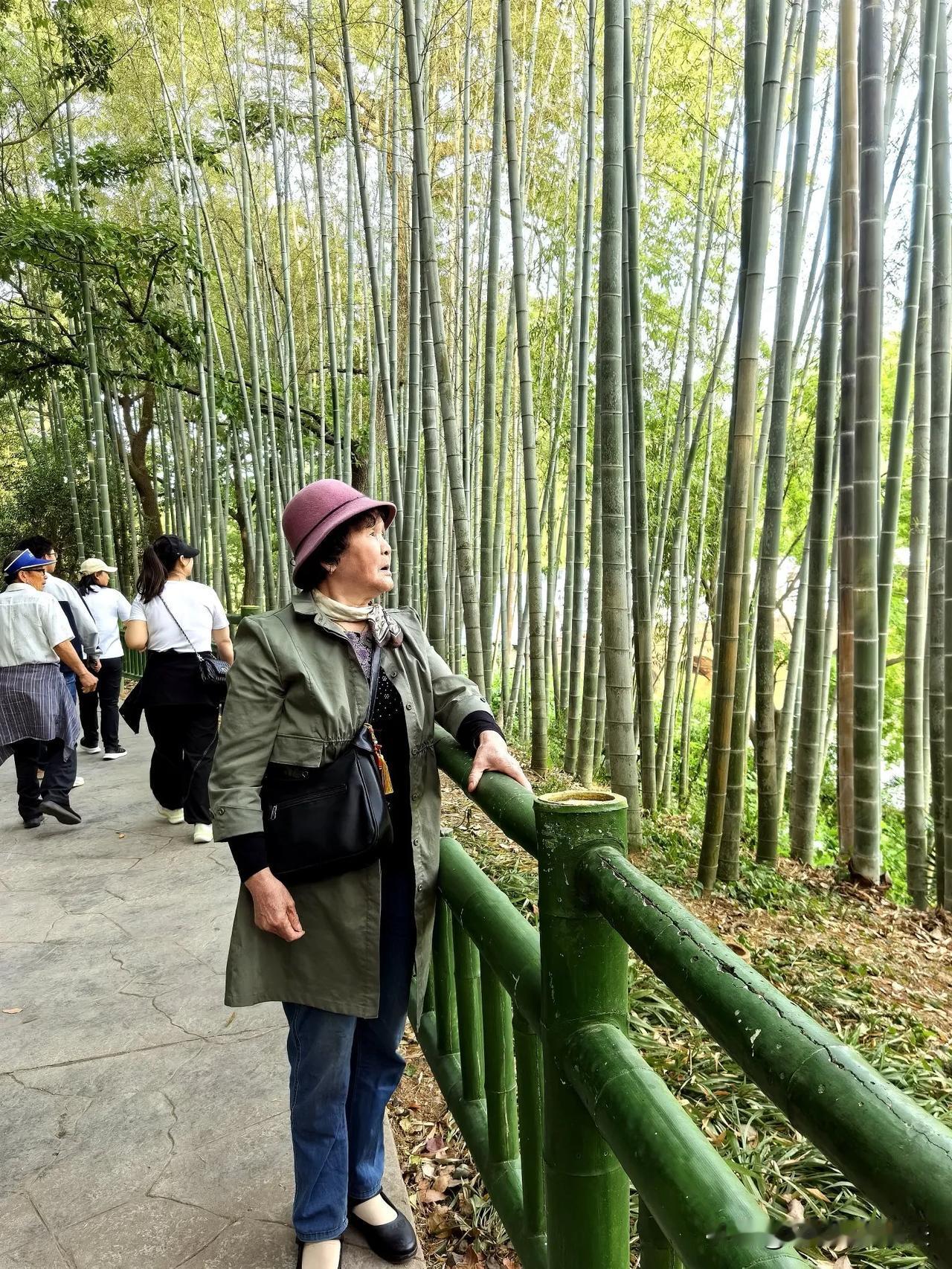 上班的人，你还在羡慕自由职业者吗？昨天在襄阳打滴，我遇到了女滴滴车司机。看着