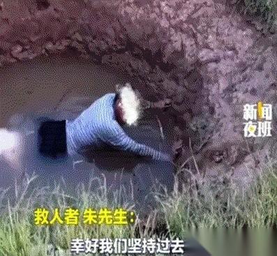 两只土狗死守在深坑边，冲着坑底声声嘶吠——它们下不去，更走不开。一个放羊老人正抠