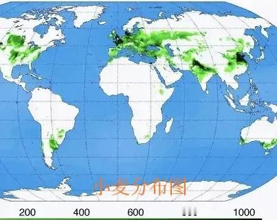 为什么说中国是天选之地？民以食为天，世界四大主粮，小麦、水稻、玉米、土豆，中国全