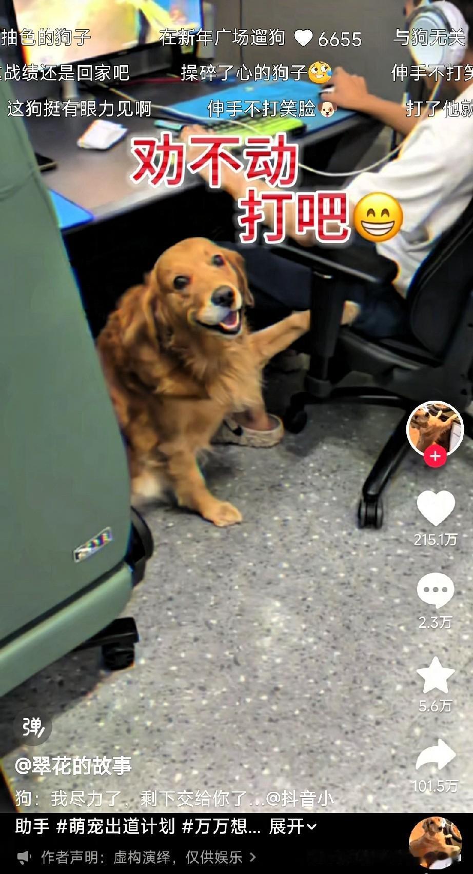 金毛劝主人下游戏，劝不动直接摆烂刷到这个金毛真给我笑不活了😂主人窝
