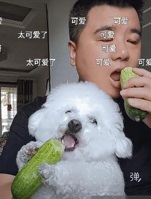 真怕狗狗突然说句好吃![捂脸哭]