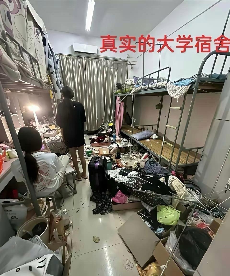 简直太真实了​​​