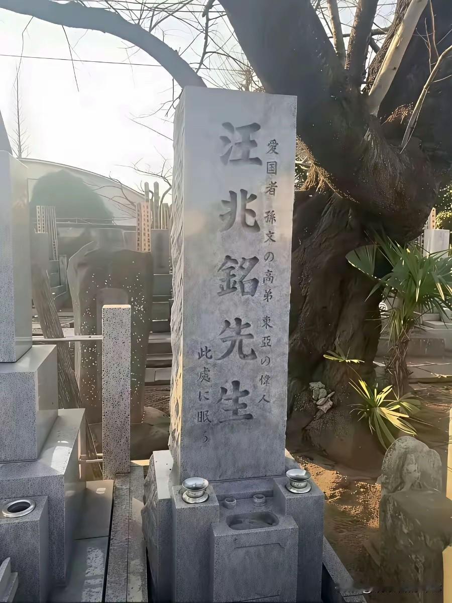 抗战胜利后，汪精卫的坟墓就被炸开，尸身在火化后，挫骨扬灰，消失于世，因为此等败类