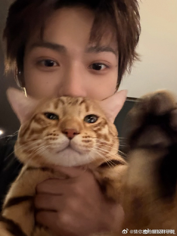 梓渝和大鱼小十一猫咪合照梓渝晒大鱼小十一合照今日份可爱暴击！梓渝晒出和大鱼小十一