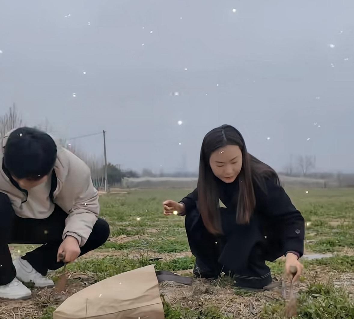 “笑不活了！”陕西咸阳，女子被相亲对象约出去挖野菜，理由是想带她体验最接地气的约