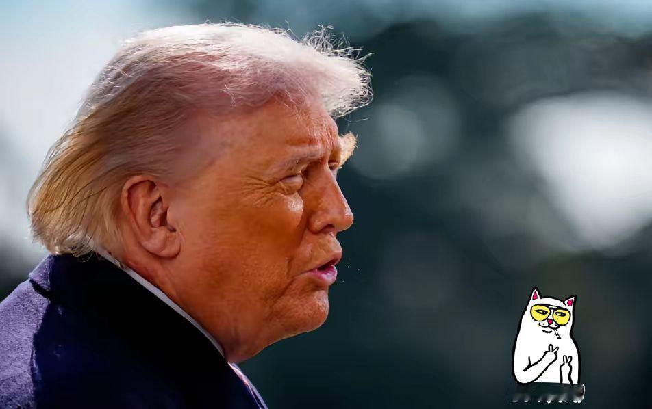 伊朗关闭霍尔木兹海峡后，特朗普最新发声吓死人！特朗普：伊朗敢毁约，就打一场前所