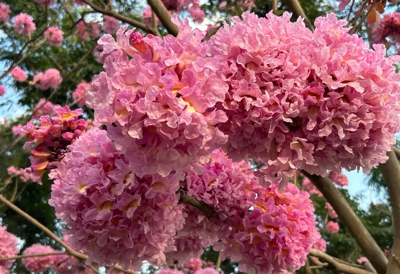 你手里的股票“幸福”吗？4个信号辨强弱，持稳不踏空！炒股就像养孩子，一只“幸福”