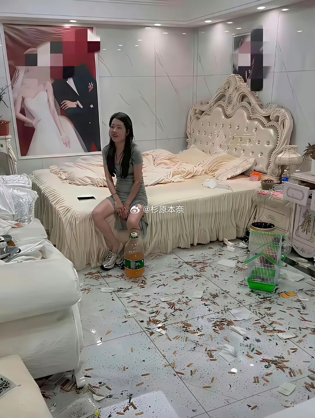 这婚闹…有这必要吗