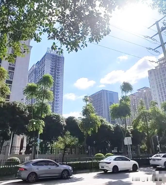 紧急通知一声，大家做好准备！2天过后，7月15日9点56分正式进入头伏，大家