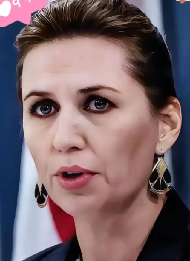 丹麦怂了，放弃保卫格陵兰岛？昨天，丹麦议会国防委员会主席拉斯穆斯·亚勒乌表示，