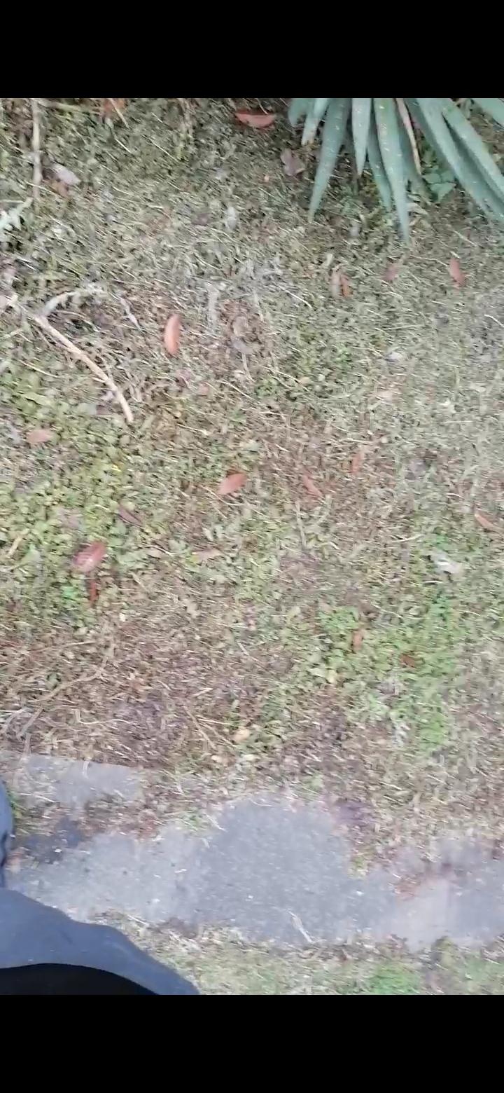 闲坐屋内，我蓦地想起一位刚出狱的朋友。此人六十出头，已在集体宿舍住了几年。他所涉