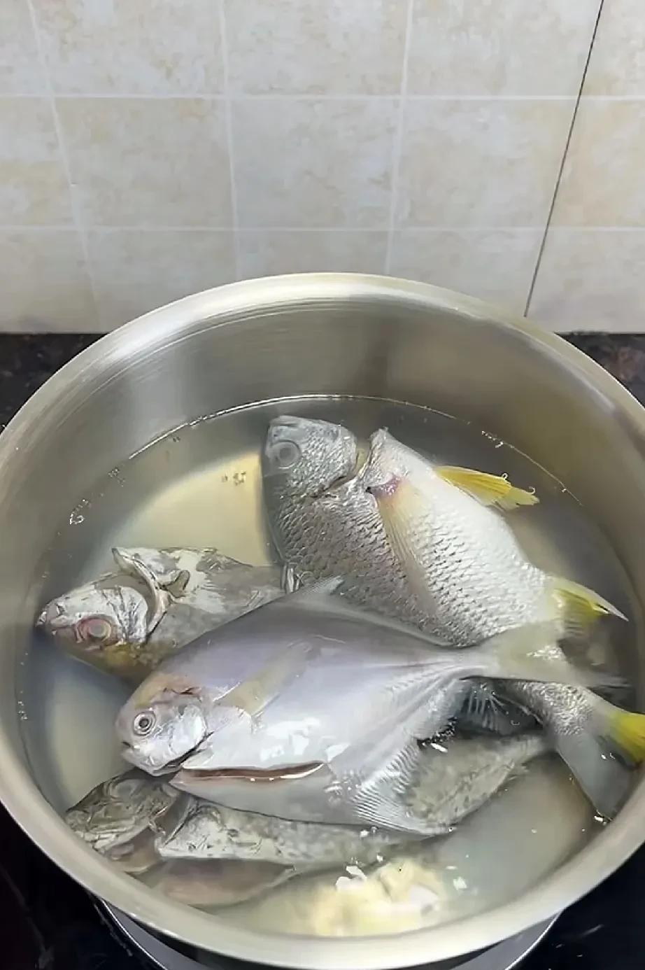 一姐妹说她婆婆煮鱼就是锅里放冷水放鱼放姜片，水烧开后放芹菜和葱头煮一会就可以吃了
