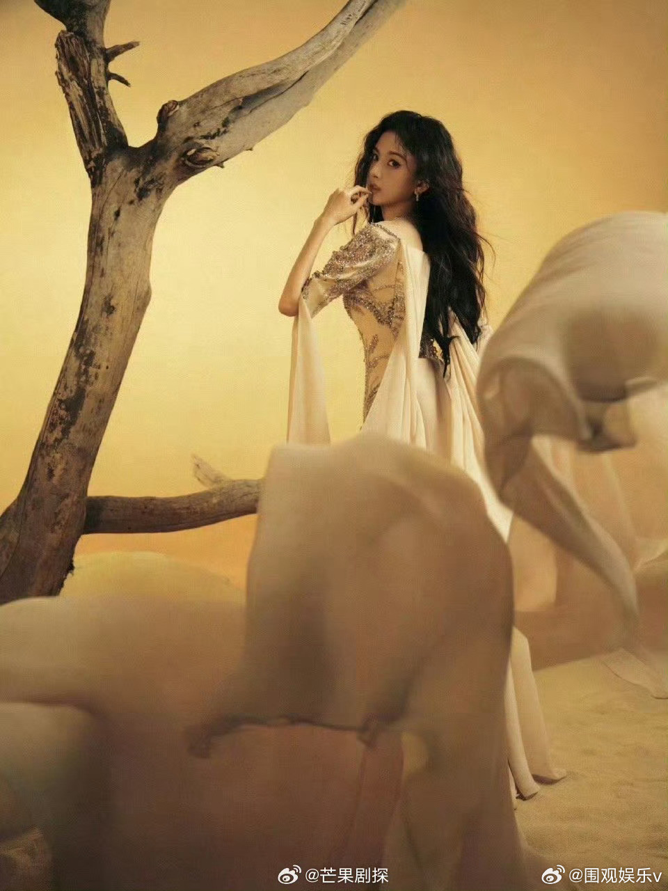 宋祖儿在枯木中盛开宋祖儿一套比一套惊艳宋祖儿枯木盛开造型，一套比一套惊艳啊