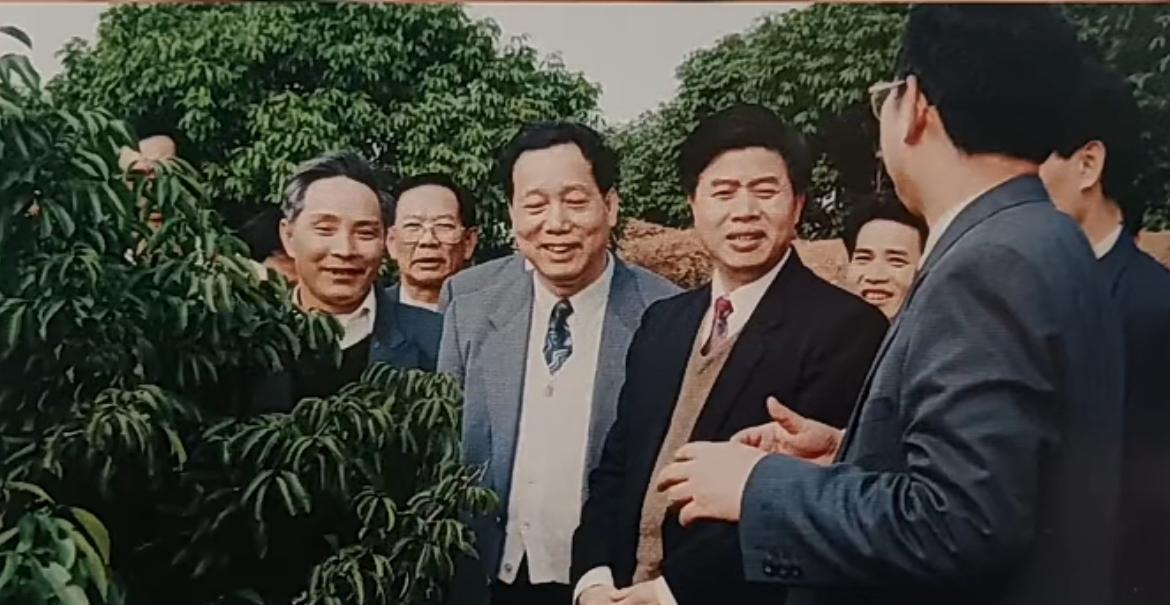 1996年，黄华华同志在茂名市委书记肖贤成等陪同下视察高州根子镇等荔枝主产区的老
