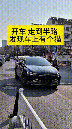 哎呀妈呀老铁！这事儿也太离奇好笑了大姐开车在路上好好走着，走到半路一瞅，好家伙