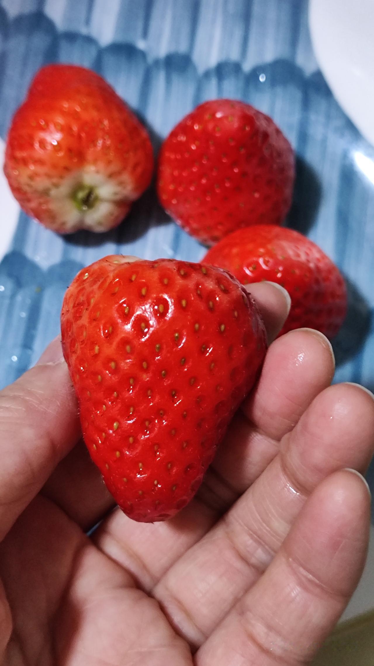 河北保定小县城，草莓10块钱一盒，是不是很便宜。前段时间看到别人在群里发的，